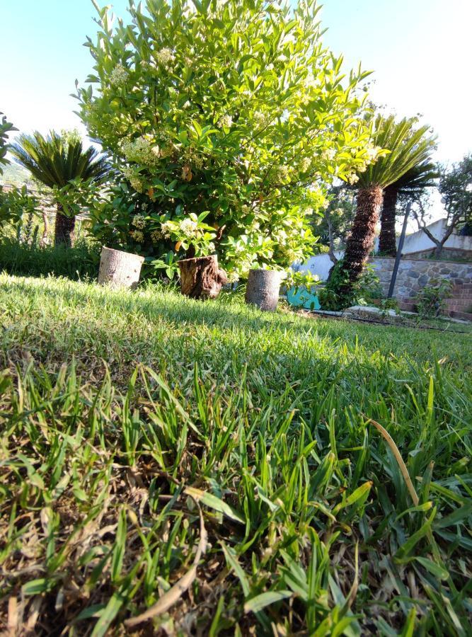 Villa Martino Apartments Cefalù Εξωτερικό φωτογραφία